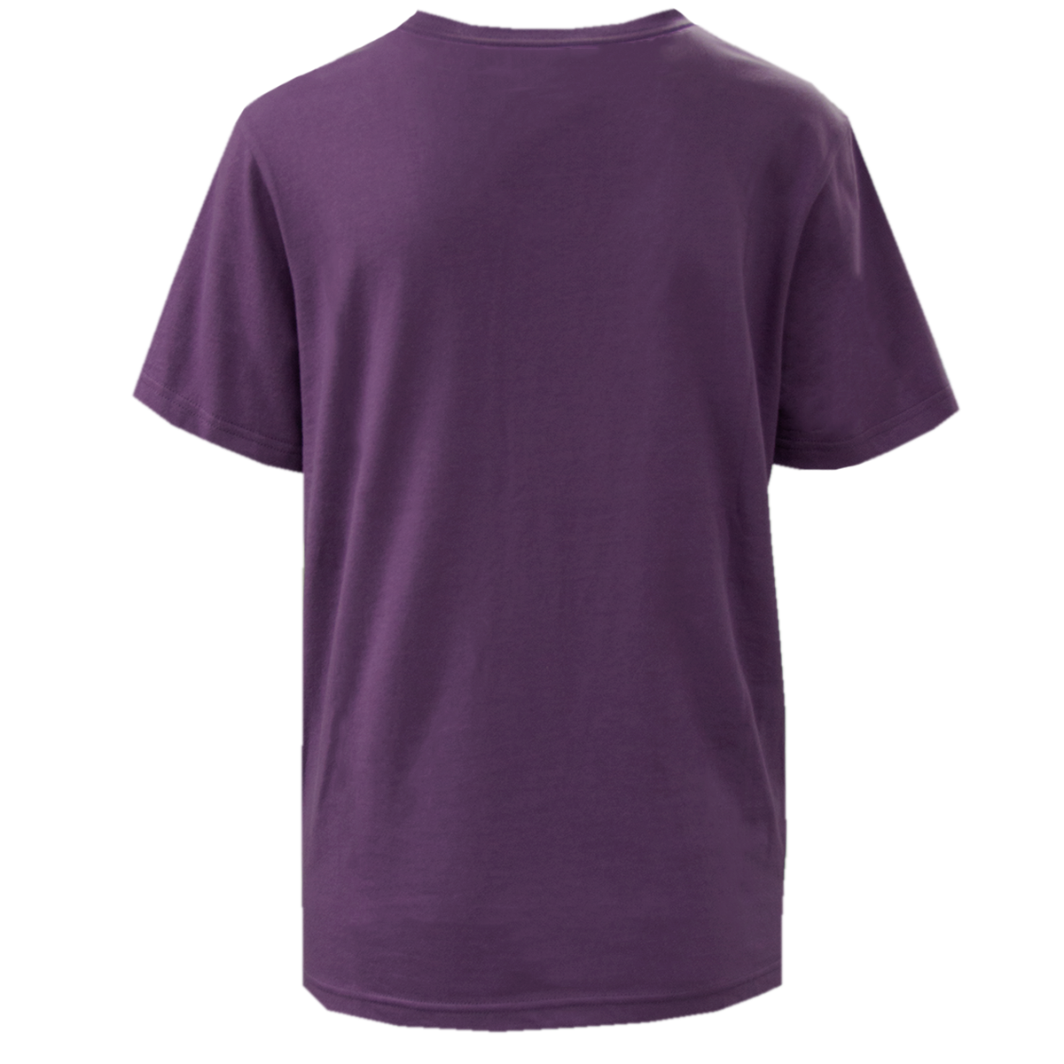 Ladies Logan Berry V-Neck with Silver Logo