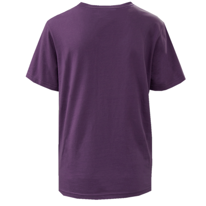 Ladies Logan Berry V-Neck with Silver Logo